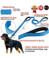 Primal Pet Gear Dog Leash 6ft Long - Traffic Padded Two Handle - Heavy Duty - Double Handles Lead for Control Safety Training - Leashes for Large Dogs or Medium Dogs