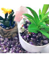 WAYBER 1 Lb/460g Natural Purple Amethyst Quartz Crystal Stones Irregular Decorative Pebble Rock Sand for Aquarium/Fish Turtle Tank/Vase Fillers/Air Plants/Succulent Plants Decor (Fill 1 Cup)