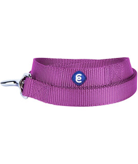 Blueberry Pet Essentials 21 Colors Durable Classic Dog Leash 5 Ft X 58, Violet, Small, Basic Nylon Leashes For Dogs