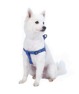 Blueberry Pet Essentials Classic Durable Solid Nylon Step-In Dog Harness, Chest Girth 20 - 26, Marina Blue, Medium, Adjustable Harnesses For Puppy Boy Girl Dogs