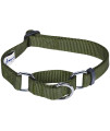 Blueberry Pet Essentials Martingale Safety Training Dog Collar, Military Green, Small, Heavy Duty Nylon Adjustable Collars For Dogs