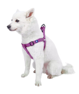 Blueberry Pet Essentials Classic Durable Solid Nylon Step-In Dog Harness, Chest Girth 20 - 26, Violet, Medium, Adjustable Harnesses For Puppy Boy Girl Dogs