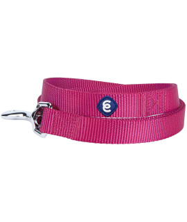 Blueberry Pet Essentials 21 Colors Durable Classic Dog Leash 5 Ft X 58, Very Berry, Small, Basic Nylon Leashes For Dogs