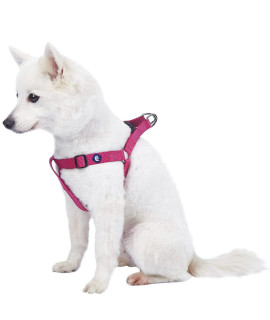 Blueberry Pet Essentials Classic Durable Solid Nylon Step-In Dog Harness, Chest Girth 165 - 215, Very Berry, Small, Adjustable Harnesses For Puppy Boy Girl Dogs