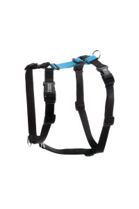 Blue-9 Buckle-Neck Balance Harness, Fully customizable Fit No-Pull Harness, Ideal for Dog Training and Obedience, Made in The USA, Sky Blue, Large
