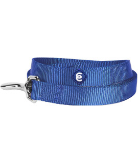 Blueberry Pet Essentials 21 Colors Durable Classic Dog Leash 5 Ft X 58, Marina Blue, Small, Basic Nylon Leashes For Dogs