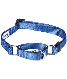 Blueberry Pet Essentials Martingale Safety Training Dog Collar, Marina Blue, Medium, Heavy Duty Nylon Adjustable Collars For Dogs