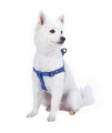 Blueberry Pet Essentials Classic Durable Solid Nylon Step-In Dog Harness, Chest Girth 26 - 39, Marina Blue, Large, Adjustable Harnesses For Puppy Boy Girl Dogs