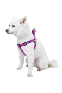 Blueberry Pet Essentials Classic Durable Solid Nylon Step-In Dog Harness, Chest Girth 165 - 215, Violet, Small, Adjustable Harnesses For Puppy Boy Girl Dogs