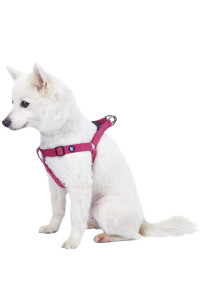 Blueberry Pet Essentials Classic Durable Solid Nylon Step-In Dog Harness, Chest Girth 20 - 26, Very Berry, Medium, Adjustable Harnesses For Puppy Boy Girl Dogs