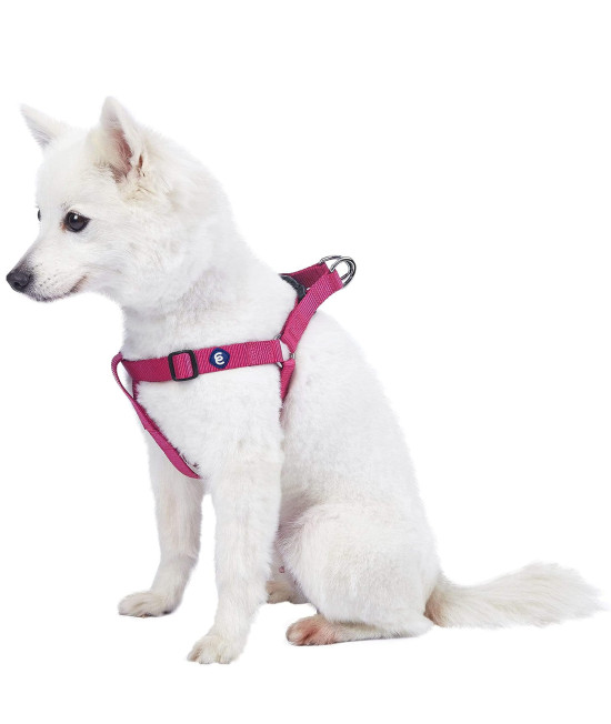 Blueberry Pet Essentials Classic Durable Solid Nylon Step-In Dog Harness, Chest Girth 20 - 26, Very Berry, Medium, Adjustable Harnesses For Puppy Boy Girl Dogs