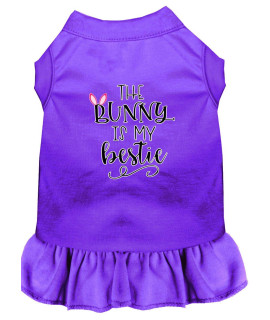 Mirage Pet Products Bunny is My Bestie Screen Print Dog Dress Purple XXXL (20)