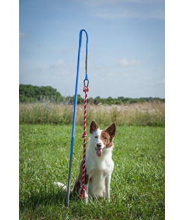 Tether Tug Interactive Dog Rope Toy (MED (35-75lbs))