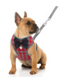 Rypet Small Dog Harness And Leash Set - No Pull Pet Harness With Soft Mesh Nylon Vest For Small Dogs And Cats Red L