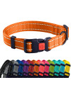 collarDirect Reflective Dog collar for a Small, Medium, Large Dog or Puppy with a Quick Release Buckle - Boy and girl - Nylon Suitable for Swimming (12-16 Inch, Orange)
