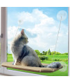 PETPAWJOY Cat Window Perch, Strong Suction Cups Easy Clean Safety Cat Hammock Window Seat for Large Fat Cat or Double Cats (Up to 50lbs)