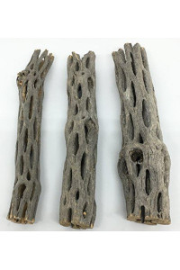 Awesome Aquatic Natural Cholla/Choya Wood 3 Pieces 6 for Shrimp Habitat and Food Treat Hermit Crabs Plecos Aquarium Decoration Lowers pH Hideouts and Chew Toys Reptiles Thorn Free Dried Organic