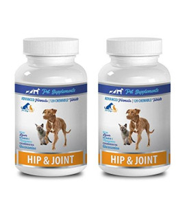Pet Supplements cat Bone Health - Hip and Joint - Health and Support - for Dogs and cats - glucosamine for cats chews - 2 Bottle (240 chews)