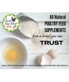 Fresh Eggs Daily Brewer's Yeast with Garlic Powder and Niacin for Ducks Feed Supplement Vitamins for Backyard Chickens 1LB