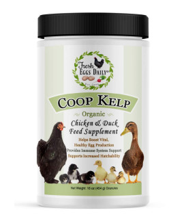 FRESH EggS DAILY Organic coop Kelp Feed Supplement Vitamins for Backyard chickens and Ducks 1LB