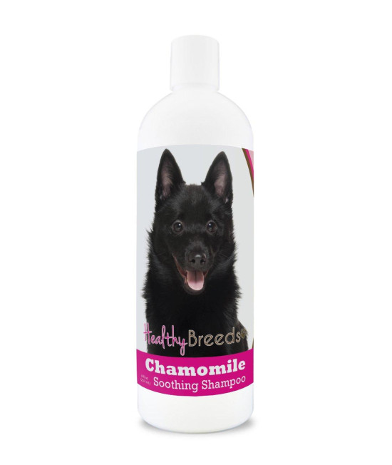 Healthy Breeds Schipperke chamomile Soothing Dog Shampoo 8 oz