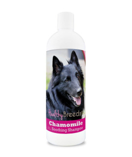 Healthy Breeds Belgian Sheepdog chamomile Soothing Dog Shampoo 8 oz