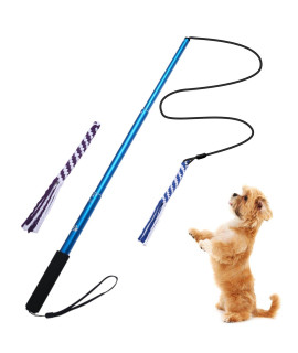 Ang Dog Flirt Pole,Extendable Dog Teaser Wand With 2 Replacement Chew Tail Ropes,Interactive Dog Outdoor Toy For Chasing, Chewing, Teasing, Training (Blue-Small)