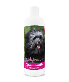 Healthy Breeds Lowchen chamomile Soothing Dog Shampoo 8 oz