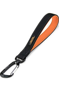 Mighty Paw Training Tab, 10 Short Dog Leash, Padded Handle, Strong Traffic Pet Lead with Carabiner Clip, Perfect for Large or Medium Dogs (Black)