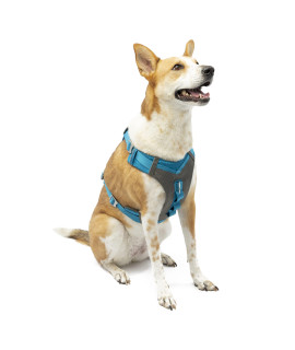 Kurgo Dog Harness for Medium, & Small Active Dogs, Pet Hiking Harness for Running & Walking, Everyday Harnesses for Pets, Reflective, Journey Air, Blue/Grey 2018, Large