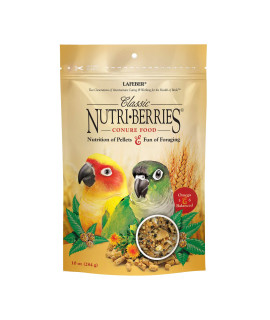 LAFEBER'S Classic Nutri-Berries Conure Food, Made with Non-GMO and Human-Grade Ingredients, for Conures (Classic 10 oz)
