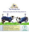 Surgi~Snuggly Disposable Dog Diapers Keeper - for Male and Female Dogs - Wrap Around Legs for Superior Fit - Fits (LS - BB)