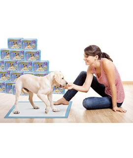 Ultimate Training Pads (150 count) Newest Technology - Most Absorbent Puppy Pads