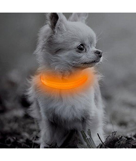 BSEEN LED Dog Glow Collar - USB Rechargeable Glow in The Dark Puppy Collar, Light Up Pet Collars for Small Dogs& Cats (Orange, XS)