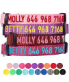 Blueberry Pet Essentials Personalized Martingale Safety Training Dog Collar, Violet, Large, Adjustable Customized Id Collars For Dogs Embroidered With Pet Name & Phone Number
