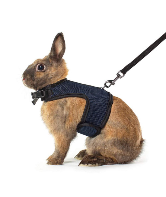Niteangel Adjustable Soft Harness with Elastic Leash for Rabbits (XL, Royal Blue)