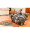 Cat Crack Organic Catnip, Premium Blend Safe For Cats, Infused With Maximum Potency Your Kitty Is Sure To Go Crazy For (2 Cups)