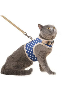 Pupteck Soft Mesh Cat Vest Harness And Leash Set Puppy Padded Pet Harnesses Escape Proof For Cats Small Dogs, Blue Dots Large