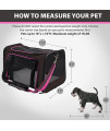Soft-Sided Pet Travel Carrier, Airline Approved Dog Cat Carrier For Medium Puppy And Cats