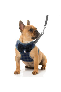 Rypet Small Dog Harness And Leash Set - No Pull Pet Harness With Soft Mesh Nylon Vest For Small Dogs And Cats Blue L
