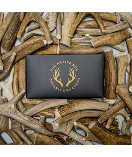 The Antler Box Premium Deer Antler Dog Chews (1 lb. Bulk Pack)-Long Lasting Organic Chewing Toys Sourced from Naturally Shed Antlers in The USA (Deer, Large (3 to 4 Antlers/lb.))
