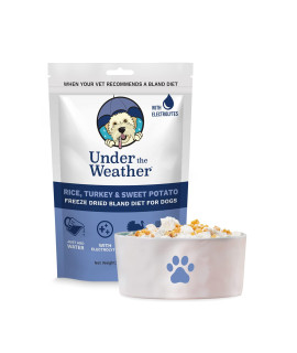Under the Weather Pet Easy to Digest Bland Dog Food Aids Sick Dogs & Sensitive Stomachs Electrolytes - gluten Free, All Natural, Freeze Dried 1 Pack - Rice, Turkey & Sweet PotatoA