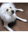 Vivifying Lion Mane Costume, Adjustable Pet Lion Mane Wig With Ears For Medium And Large Dog