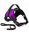 No Pull Dog Harness, Breathable Adjustable Comfort, Free Leash Included, for Small Medium Large Dog, Best for Training Walking Purple XL