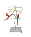 Exoticdad Parrot Stand - Reptile Birds Perches For Parrots - Wood Perches Stand For Parrot - Uniquely Sanded ,Custom Made Designed For Parrots, Cockatoo, Parakeets- 2ft x 3ft Base and 5.5-6ft Height