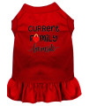 Mirage Pet Products Family Favorite Screen Print Dog Dress Red Sm
