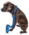 PetLife Aero Mesh 2-in-1 Dual Sided Comfortable and Breathable Adjustable Mesh Dog Leash-Collar, Small, Blue (CLSH14BLSM)