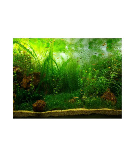 Aquarium Fish Tank Background Poster PVC Adhesive Decor Paper Green Water Grass Aquatic Style Like Real(24.02x11.81in)
