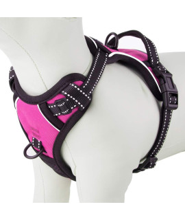 PHOEPET No Pull Dog Harnesses for Small Puppies Reflective Adjustable Front clip Vest with 2 Metal Leash Attachment Hooks Soft Handle(XS, Pink)