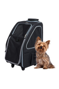 PETIQUE Pet Carrier, Dog Carrier for Small Size Pets, 5-in-1 Ventilated Carrier Bag for Cats & Dogs, Pepper